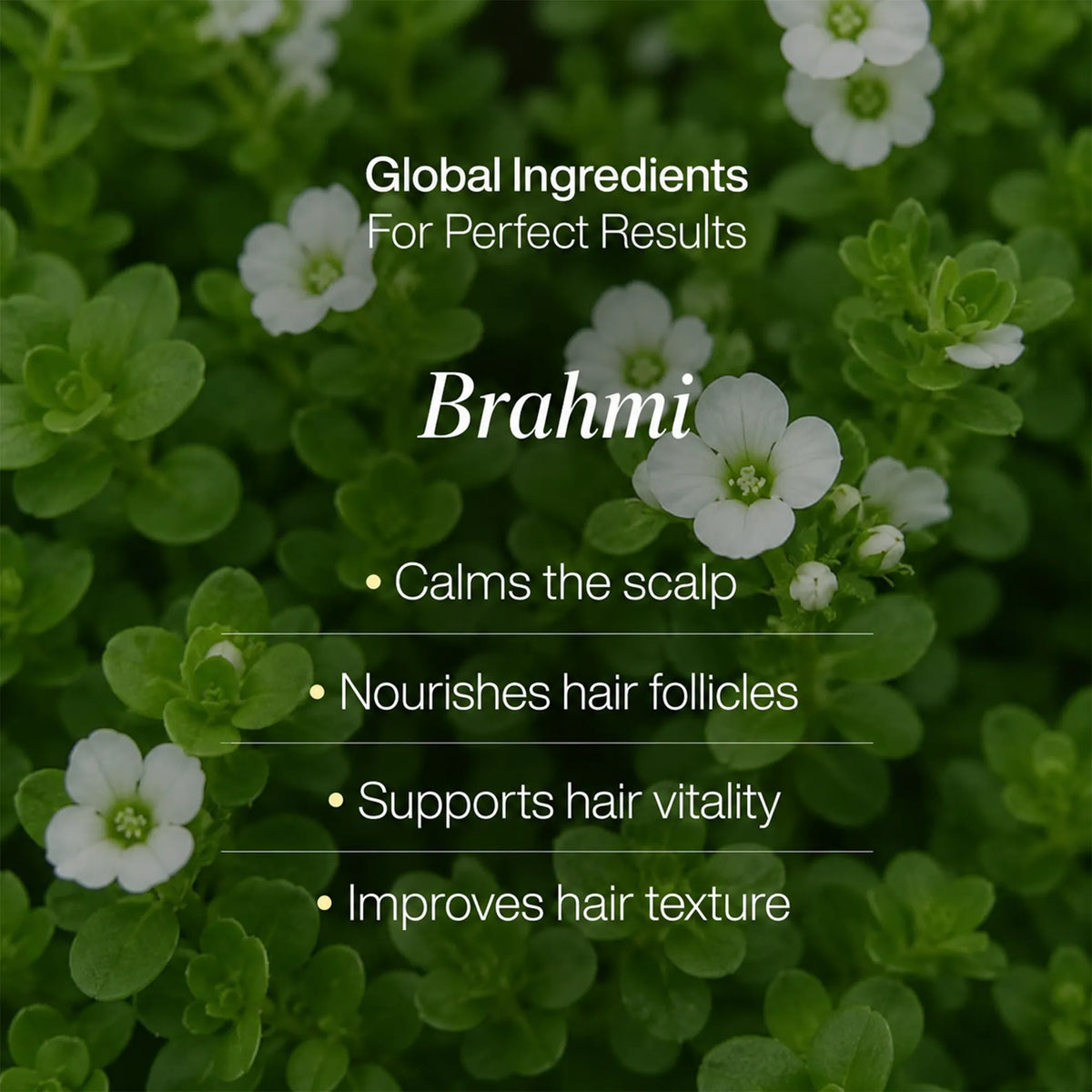 LAVAL Ayurveda Anti Dandruff Hair Mask