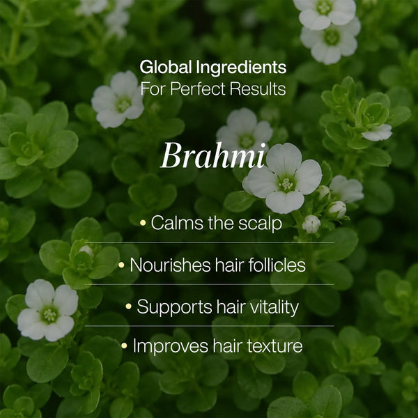 LAVAL Ayurveda Anti Dandruff Hair Mask