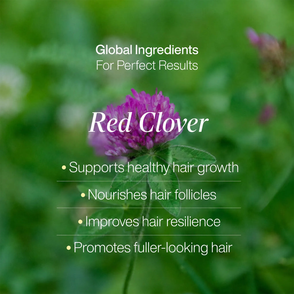 LAVAL Revitalising Hair Spa Mask