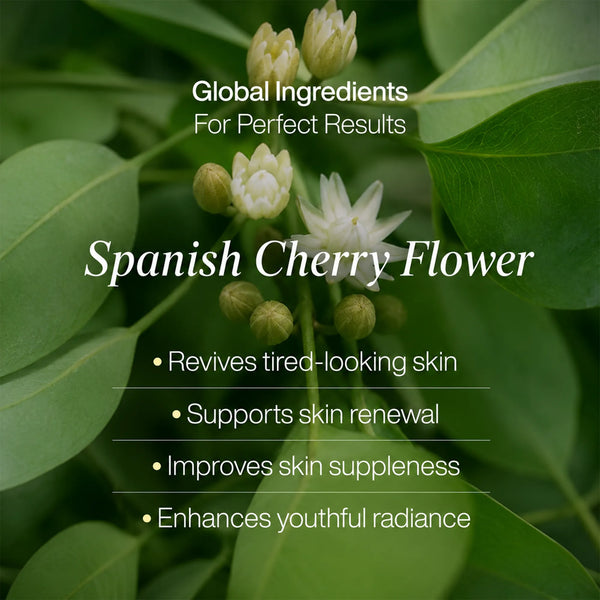 LAVAL Ayurveda Youth Renew Face Mask